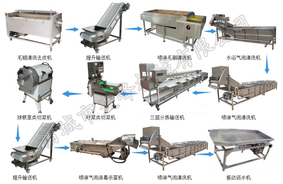 鲜切净菜加工设备