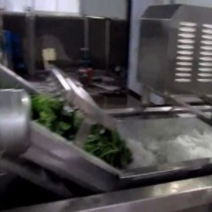 水浴气泡清洗机视频