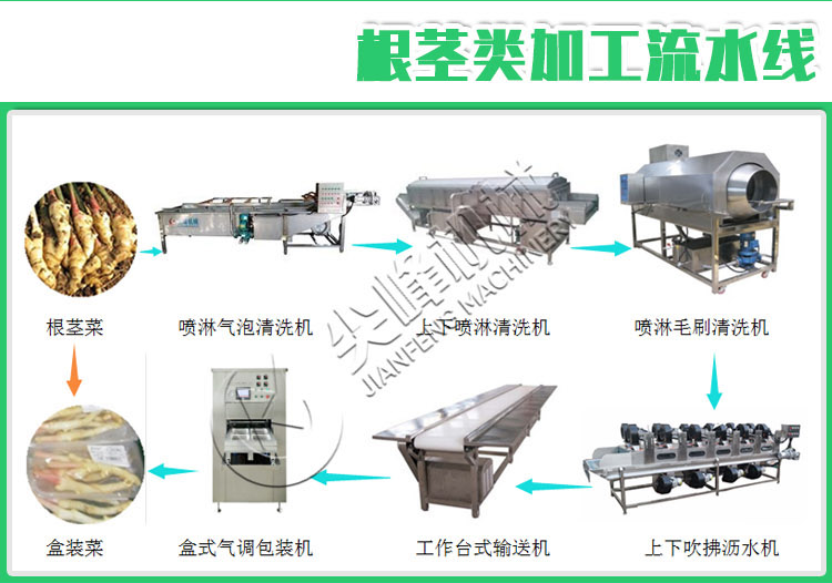 叶菜类清洗挑选流水线