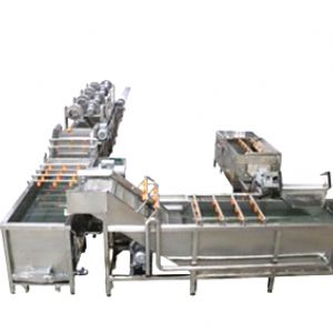 保鲜蔬菜清洗加工设备