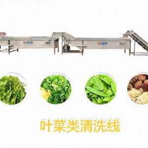 叶菜类清洗线
